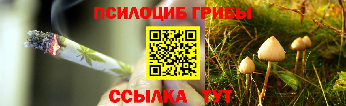 Галлюциногенные грибы Cubensis  Псилоцибиновые грибы Cubensis  Вход с VPN  Большой Камень 